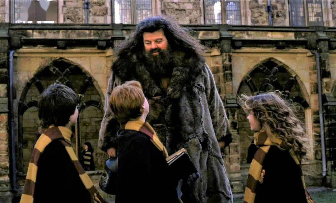 哈利_鲁伯·海格_霍格沃兹