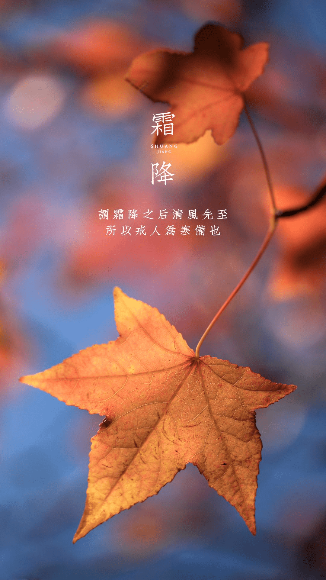 天上繁霜降,人间秋色深 | 霜降海报来了,一起享受浪漫深秋!