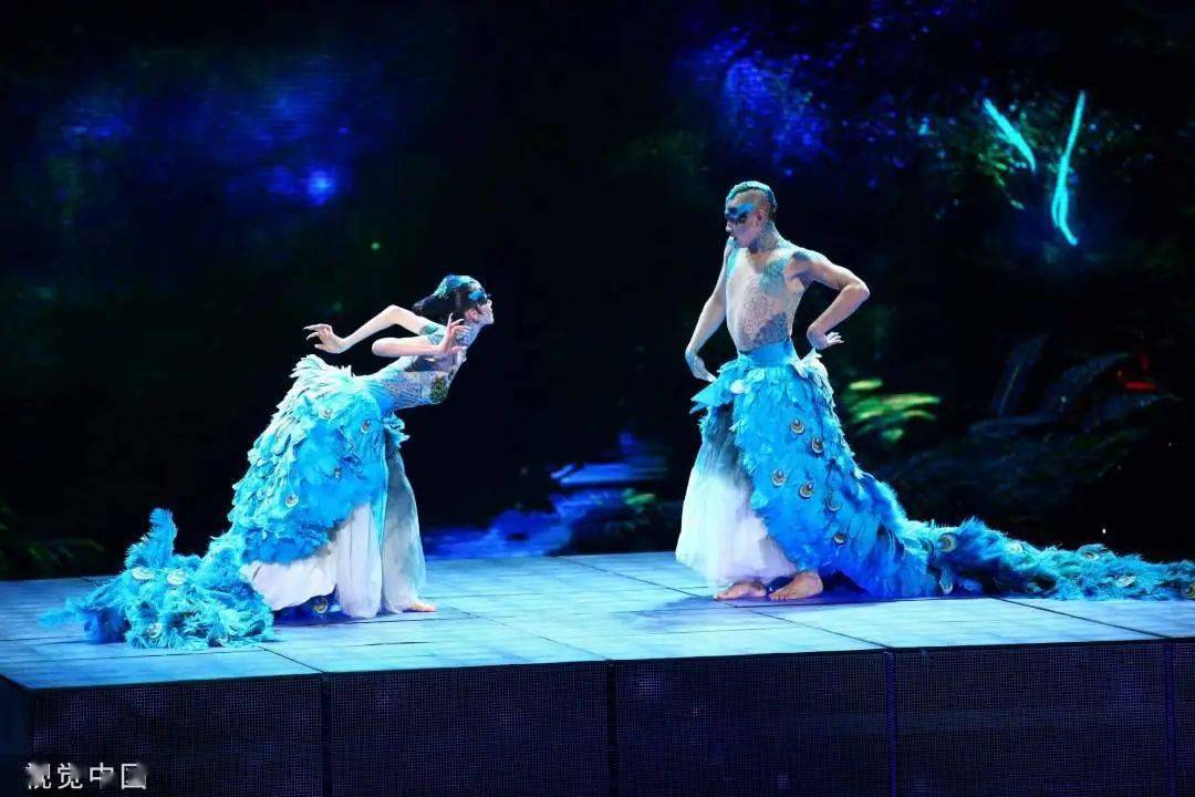 数度登上春晚,杨丽萍发文哀悼_王迪_表演_舞蹈