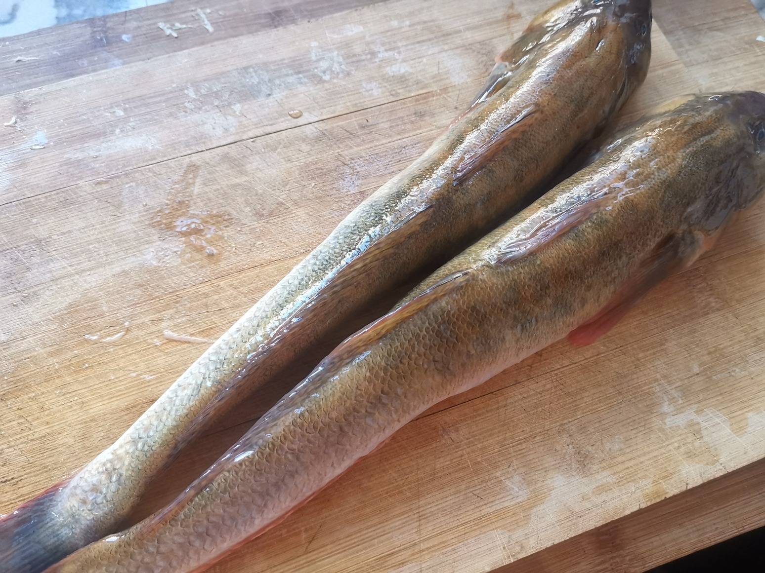 吃猪肉不如吃它健脾益气营养高,炖一炖汤白如奶肉嫩滑_狗杠_沙光鱼