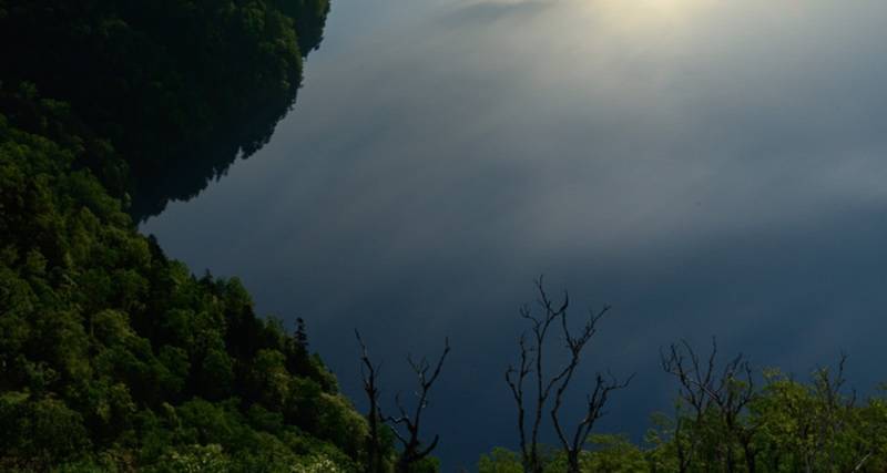 双十一首战打响家电厂商策略大变-家电圈官网