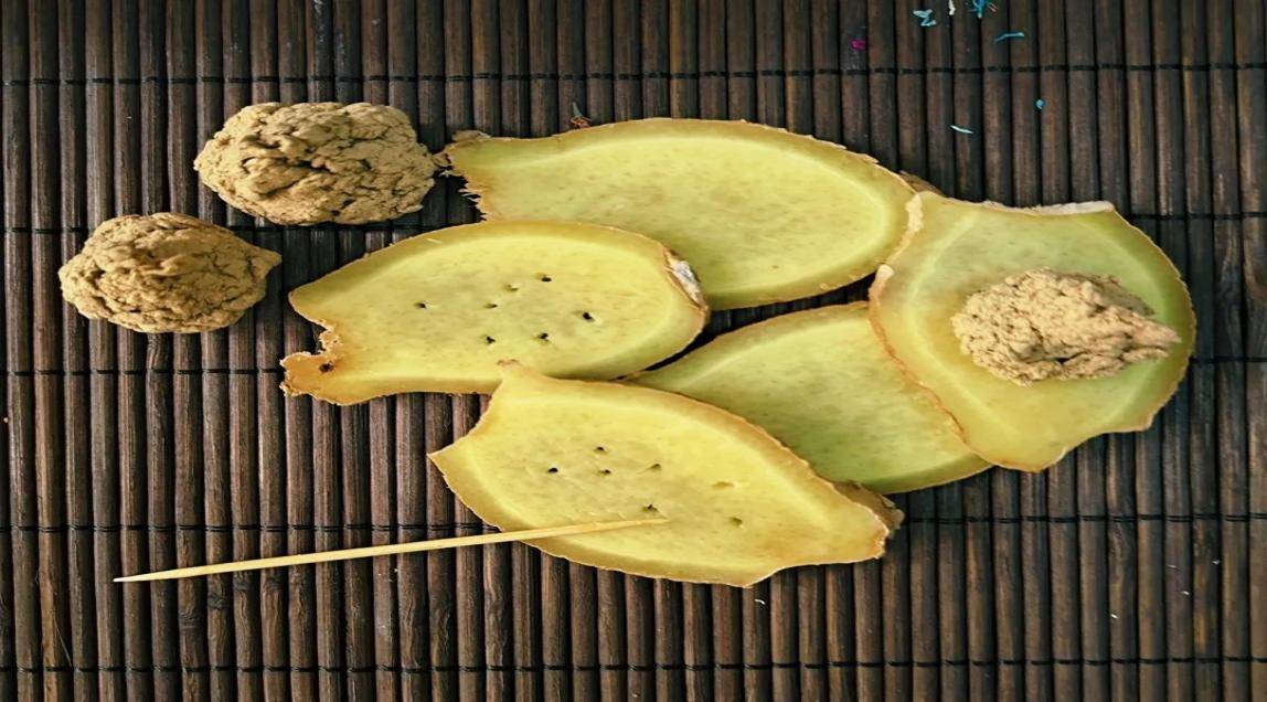 艾灸灸法介绍——隔物灸_姜灸_功效_大蒜