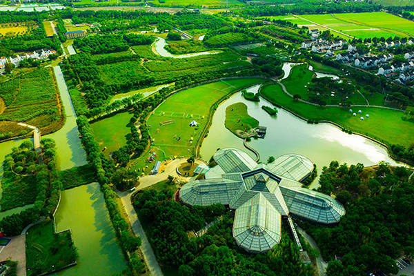 宠四季宠物主题公园入驻上海一周年庆典,待你遇见,与宠相遇!