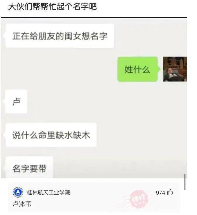 轻松一刻：本钱落泪，狗看了都摇头！