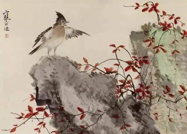 江南才子百鸟百幅作品绝美了_花鸟_肚子_江寒汀