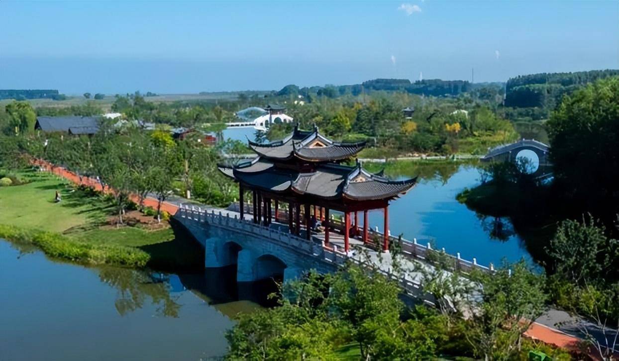 康养山西丨和水鸟一起去亲近葱茏湿地_天鹅_桑干河_公园