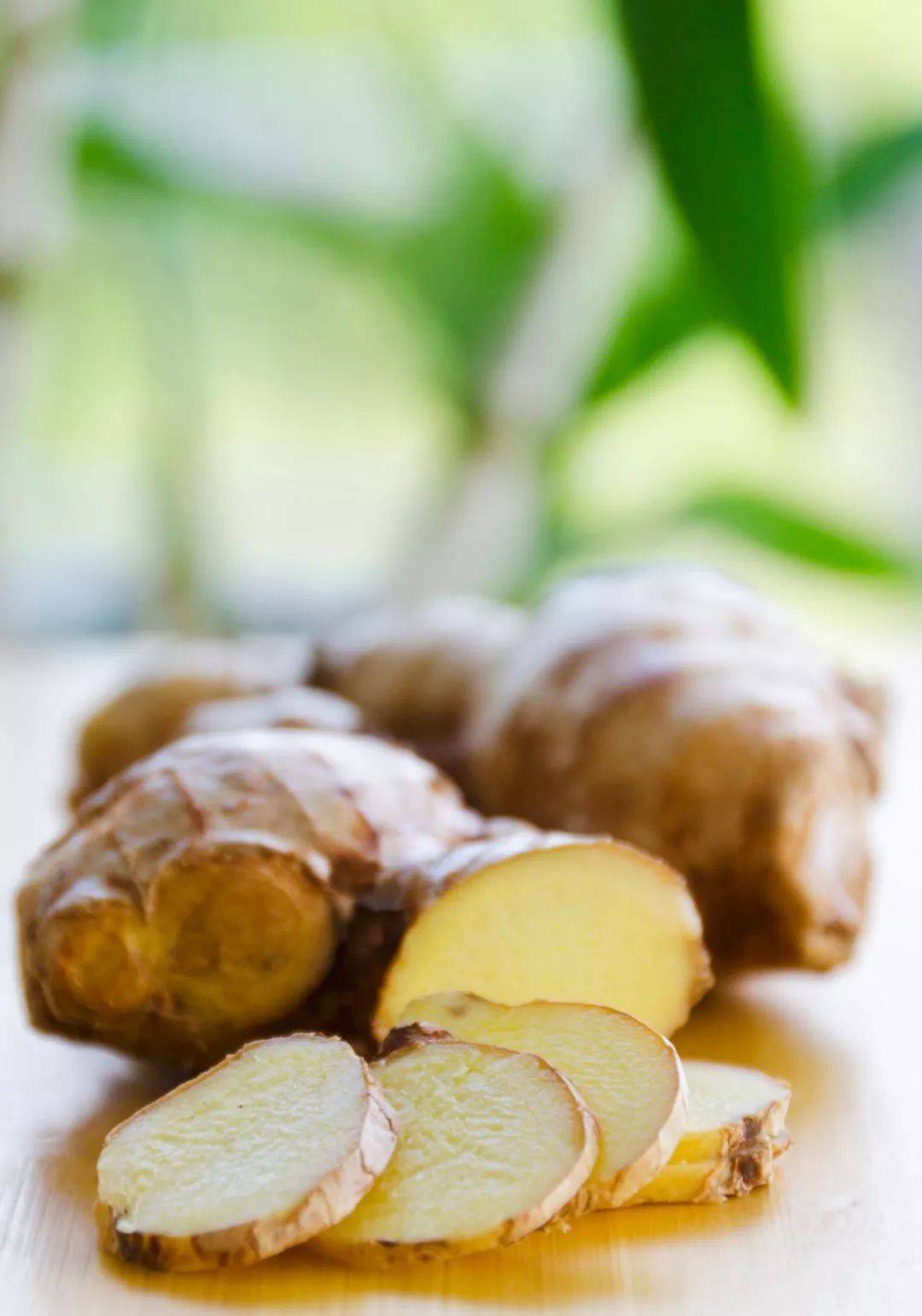 阳气_姜粉_人体