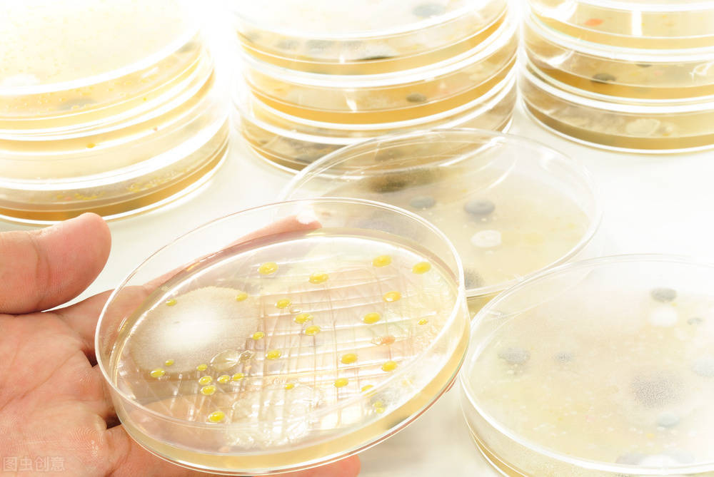 抗菌纺织品检测标准分析_机构_测试_能力