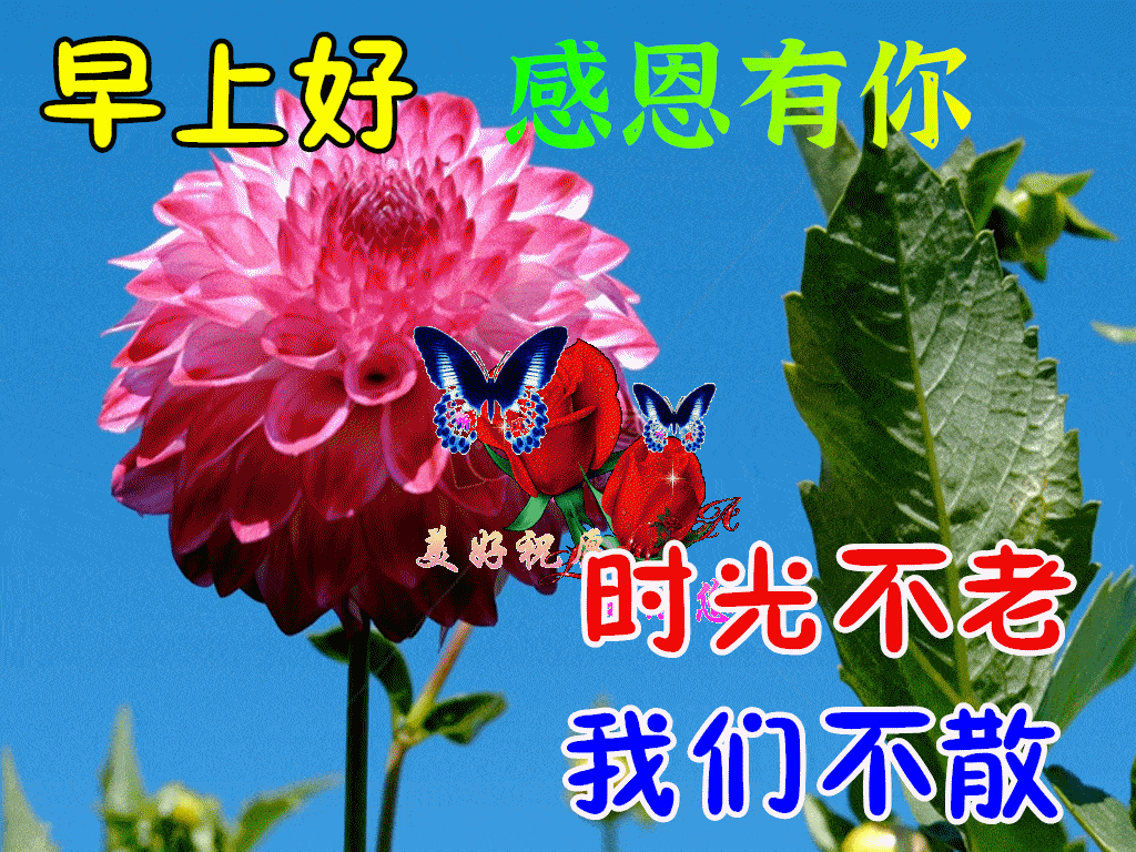 10月26日秋天早上好动态表情图片大全,早晨好动图美图大全_生活_是一