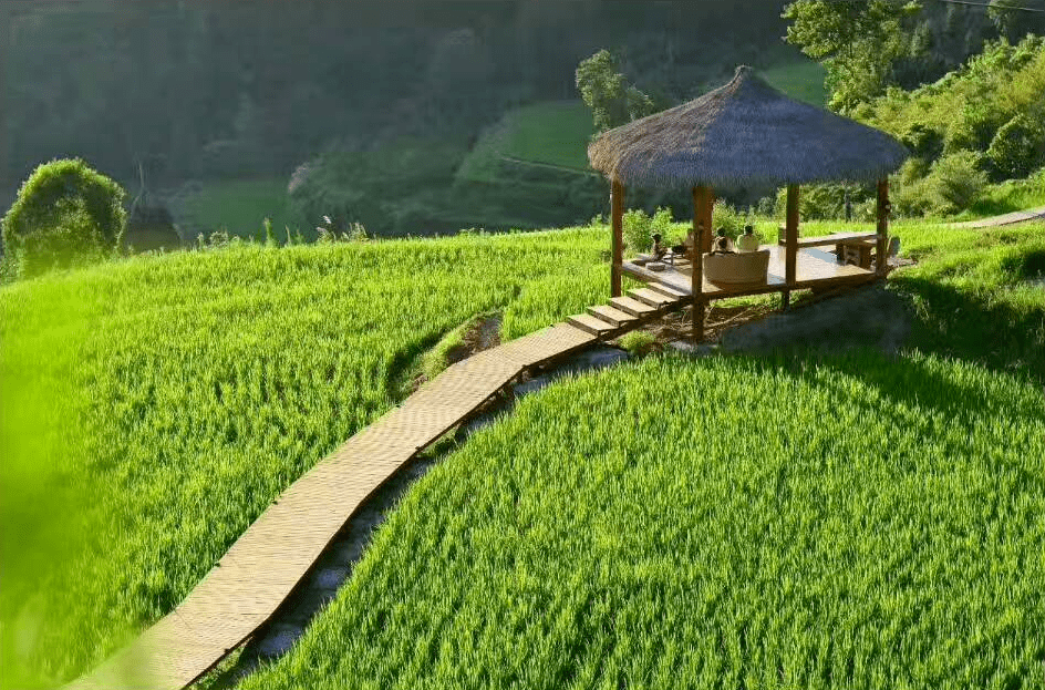 上榜“全球十大必住美宿”！把房间藏进悬崖峡谷，百亩梯田栈道，露天温泉泡汤，360°视野实的绝！