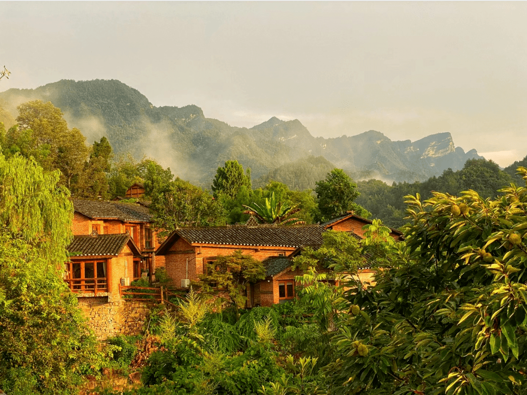 上榜“全球十大必住美宿”！把房间藏进悬崖峡谷，百亩梯田栈道，露天温泉泡汤，360°视野实的绝！