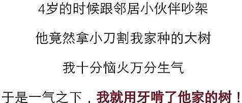 小时候淘气你都干过哪些蠢事？一气之下，用牙啃他家的树来抨击他