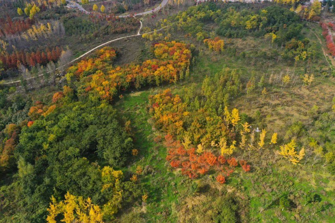 威宁草海北坡迎来"颜值"最高季_生态_公园_屏障