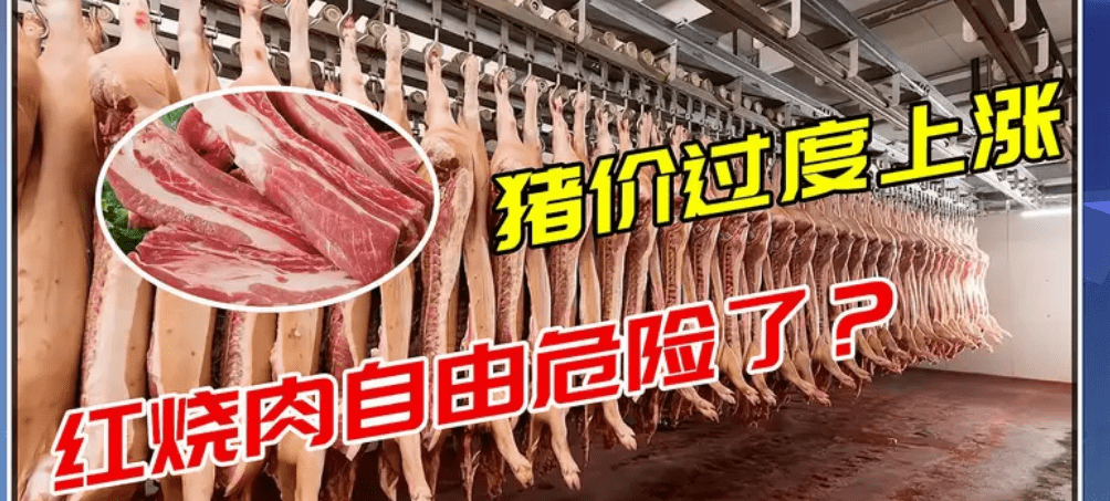 猪价过度上涨 红烧肉自由危险了?