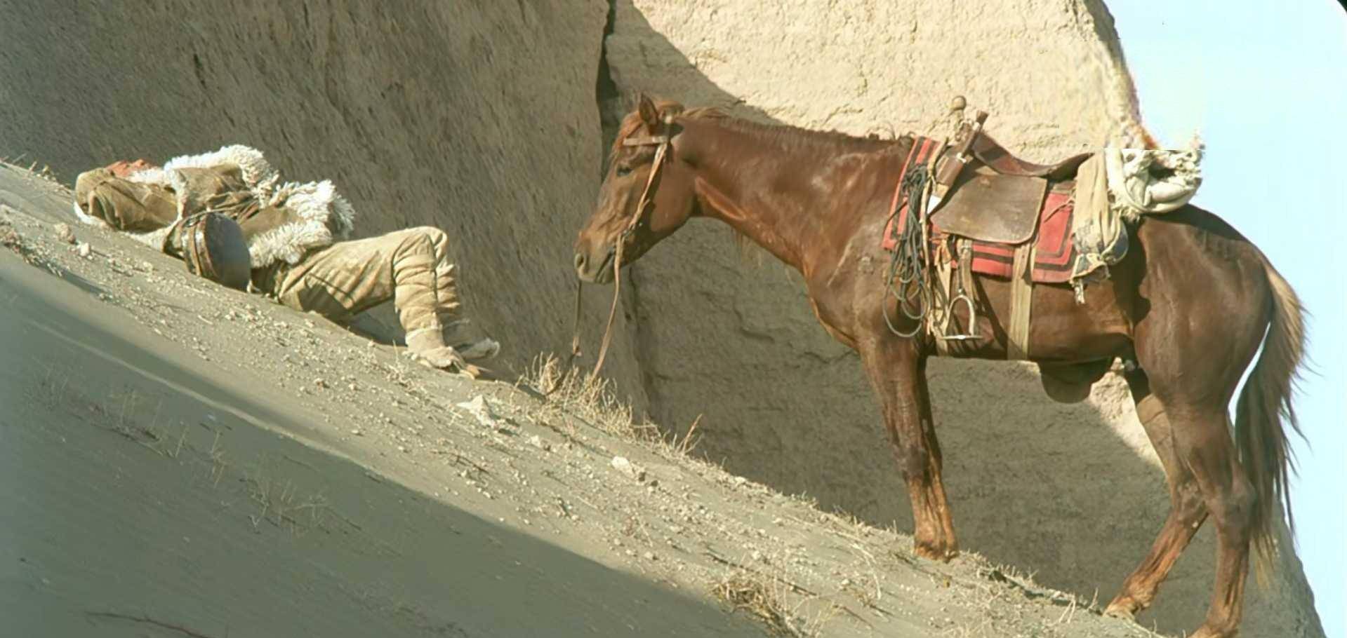 影片开始"沙里飞"和"孩哥"一见如故,"方圆500里有麻烦,找我沙里飞".