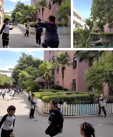 秋日特輯|青浦校園秋景如畫,一起珍藏這個季節!_實驗幼兒園_小學_教育