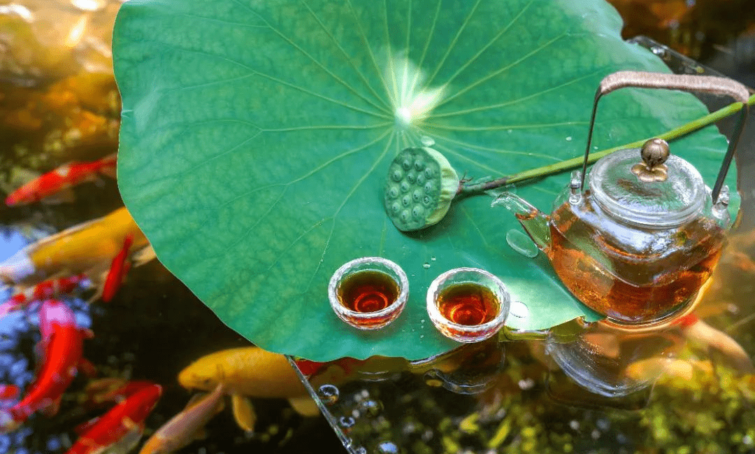 那些你不晓得的关于茶的词