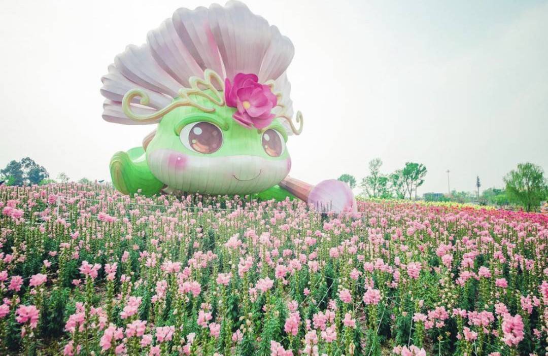 芙蓉文创,露营休闲,演出打卡 第五届天府芙蓉花节明日开幕 看点抢先"