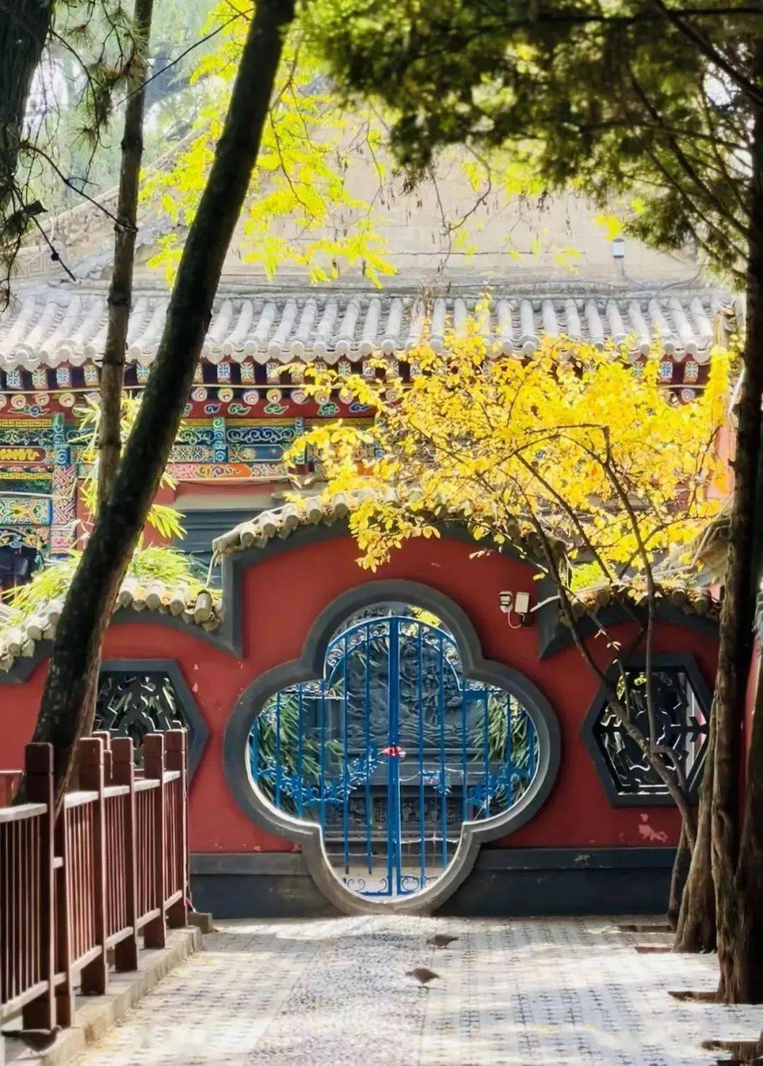 临夏这些地方秋意爆表了