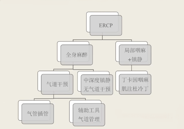 擅長：急危重病人的麻醉和搶救、老年病人麻醉以及各種困難氣管插管等。黃牛跑腿掛號檢查住院加急，讓您省心安心又放心的簡單介紹