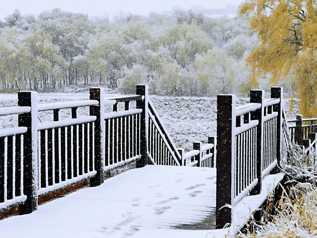 佳木斯2022年的第一场雪来了!_摄影_冬日_诗意