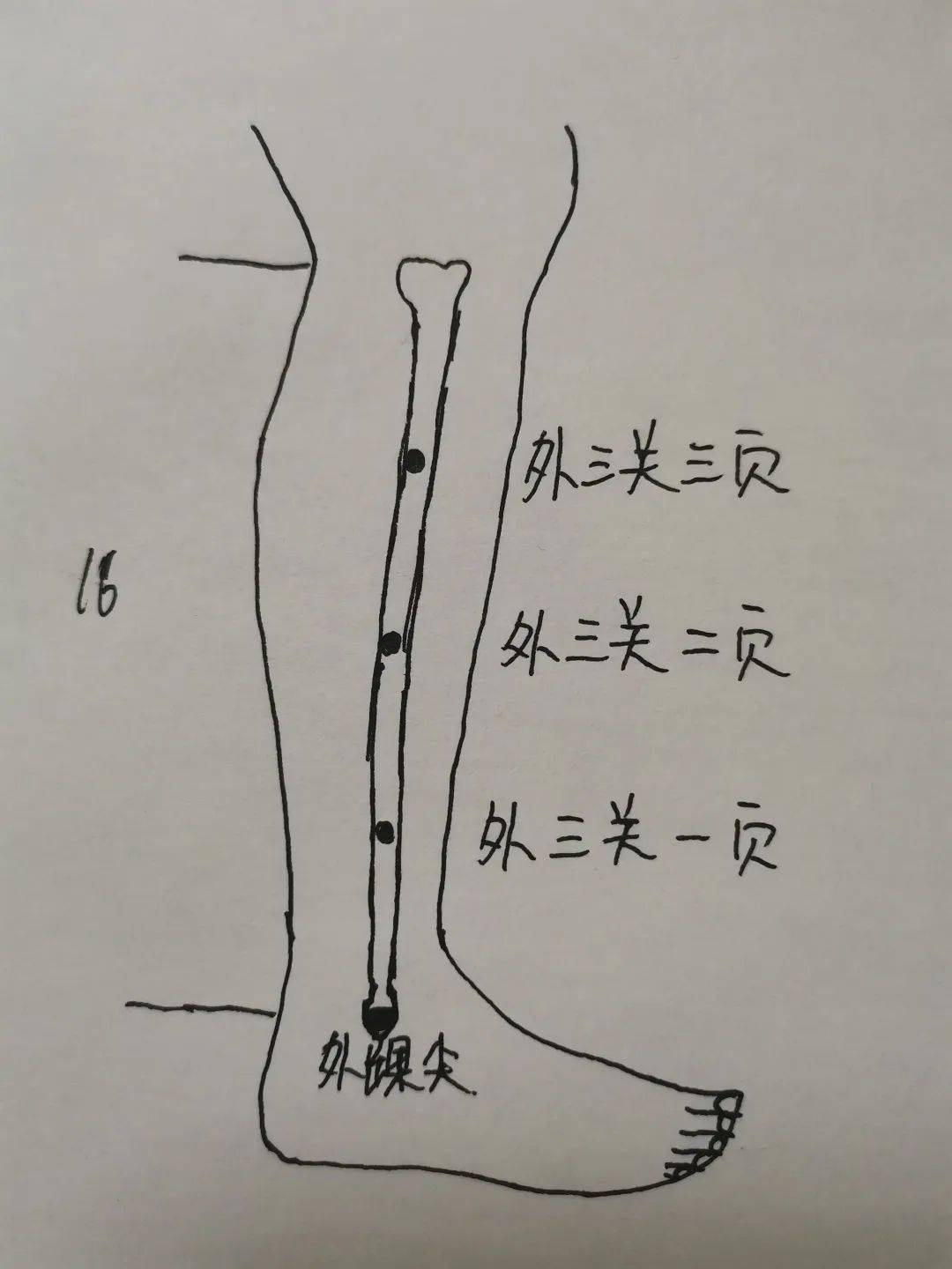 火主的准确位置图图片