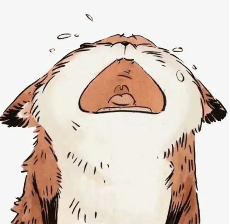 惊呆了！寄生虫紧紧扒住女孩睫毛，在眼皮上安了家_搜狐网, image size:956x932