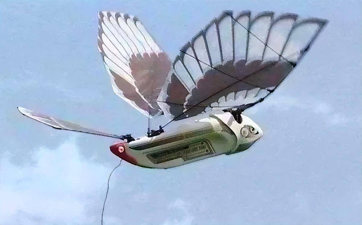 北航的扑翼机续航时间刚创下世界纪录,西工大就给破了_飞行器_旋翼机