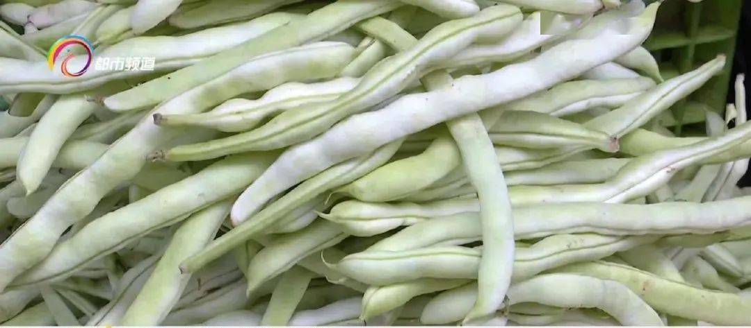 昆明市疾控中心发布提醒,谨防这种食物中毒_菜豆_四季豆_加工