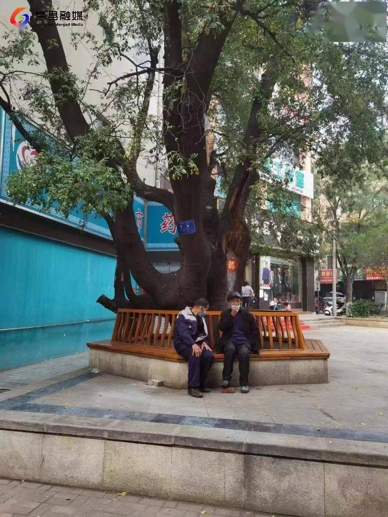 【曝光台】10月31日,嵩县这些地方被曝光了_整改_问题_责任