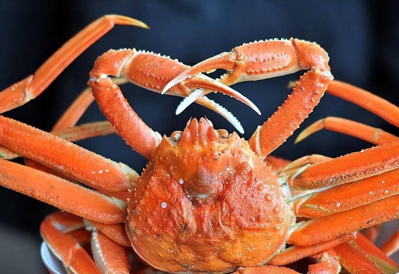 最有特点的七种螃蟹,什么螃蟹最奇怪?_生活_日本_身体