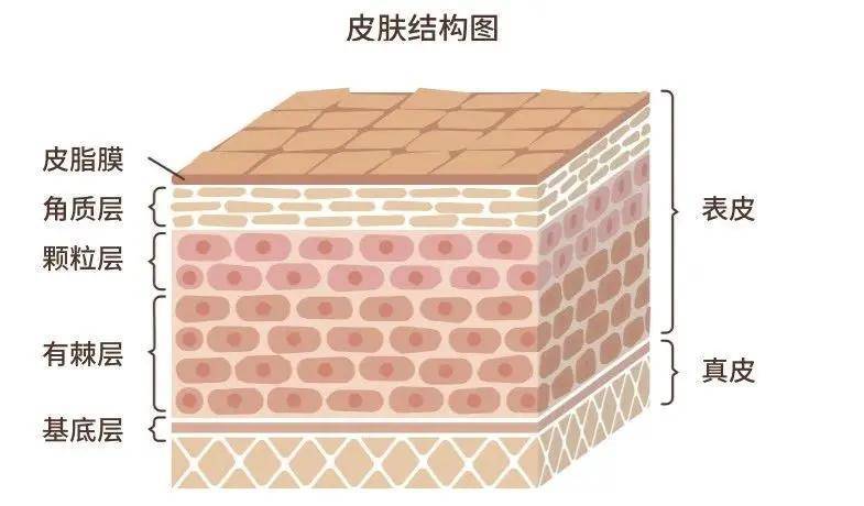 为什么会这样呢?