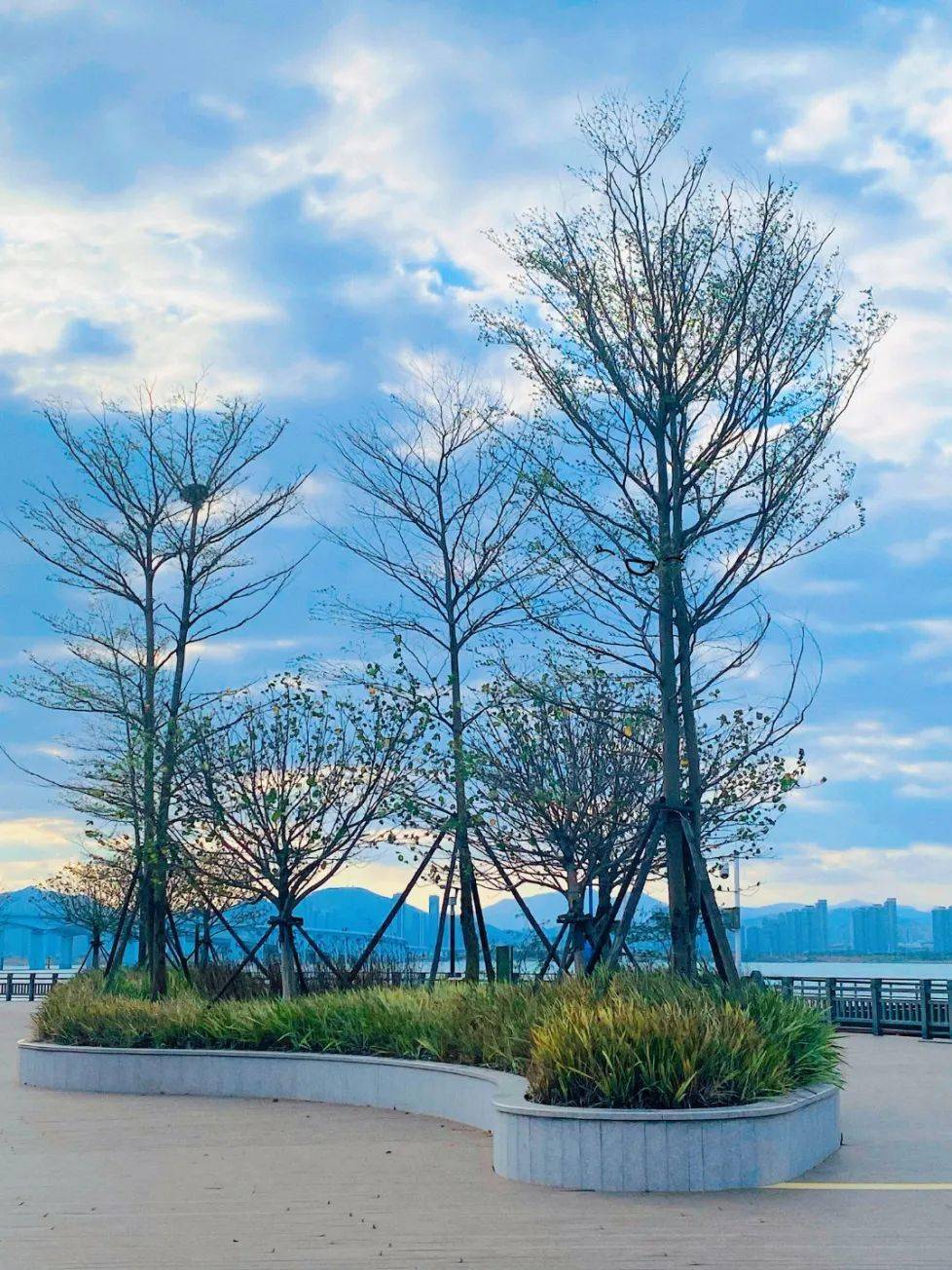 翔安下潭尾湿地公园,满眼皆是风景!