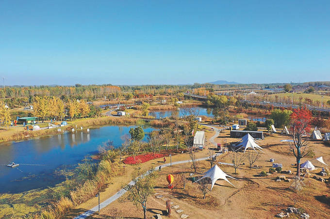 深秋时节,徐州市睢宁县古黄河房湾湿地公园迎来了一年中最美的季节