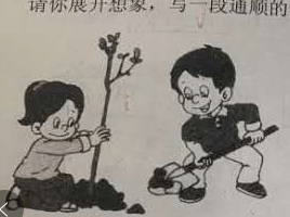 小学二年级语文看图写话20篇（配范文），给孩子期中操练！