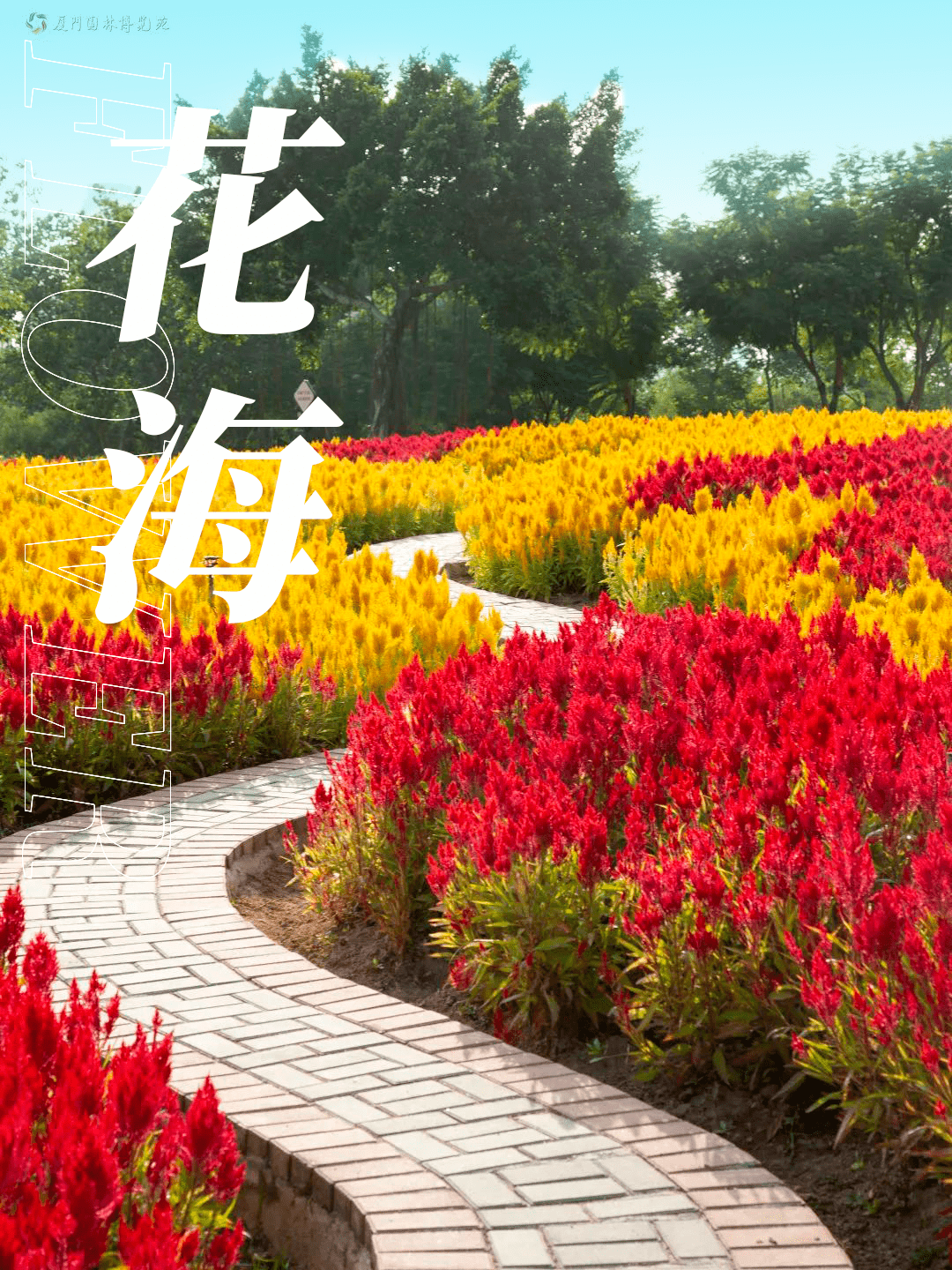 花海_故事_气息