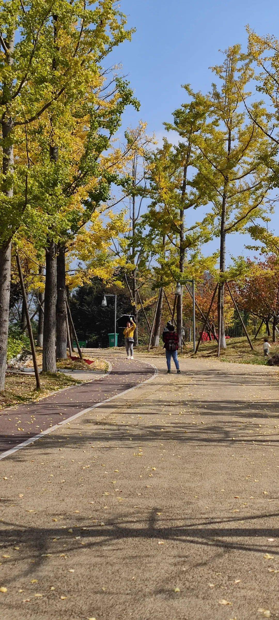 快來打卡!虹山湖晚秋的風景美如畫_公園_市民_時光