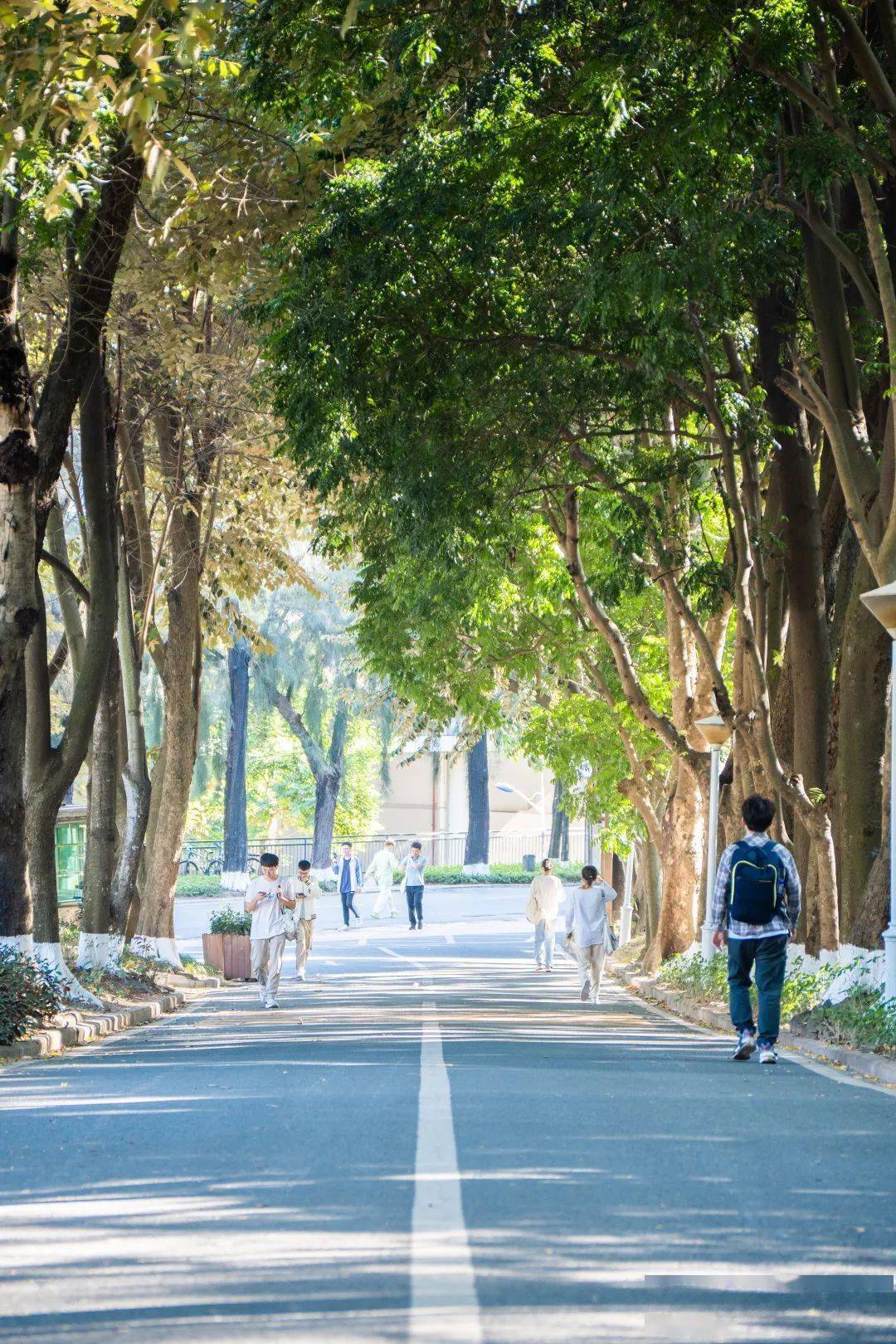 那100件事，是属于SZUer的独家记忆