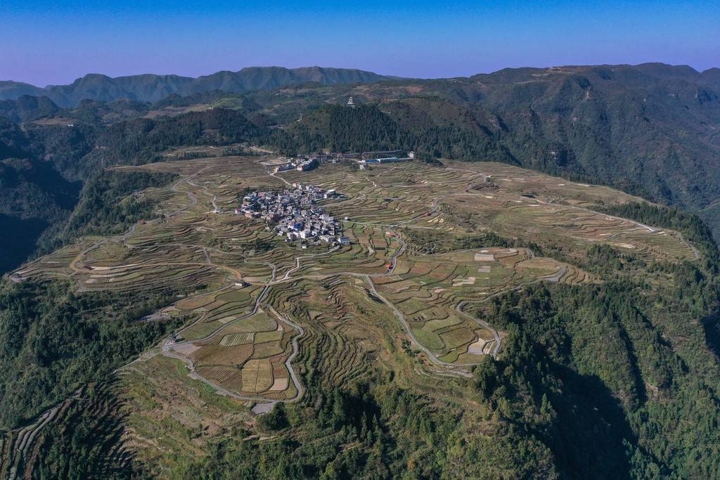 贵州独山:俯瞰千亩海花草种植基地 宛如大地指纹_山村甲_独山县_照片