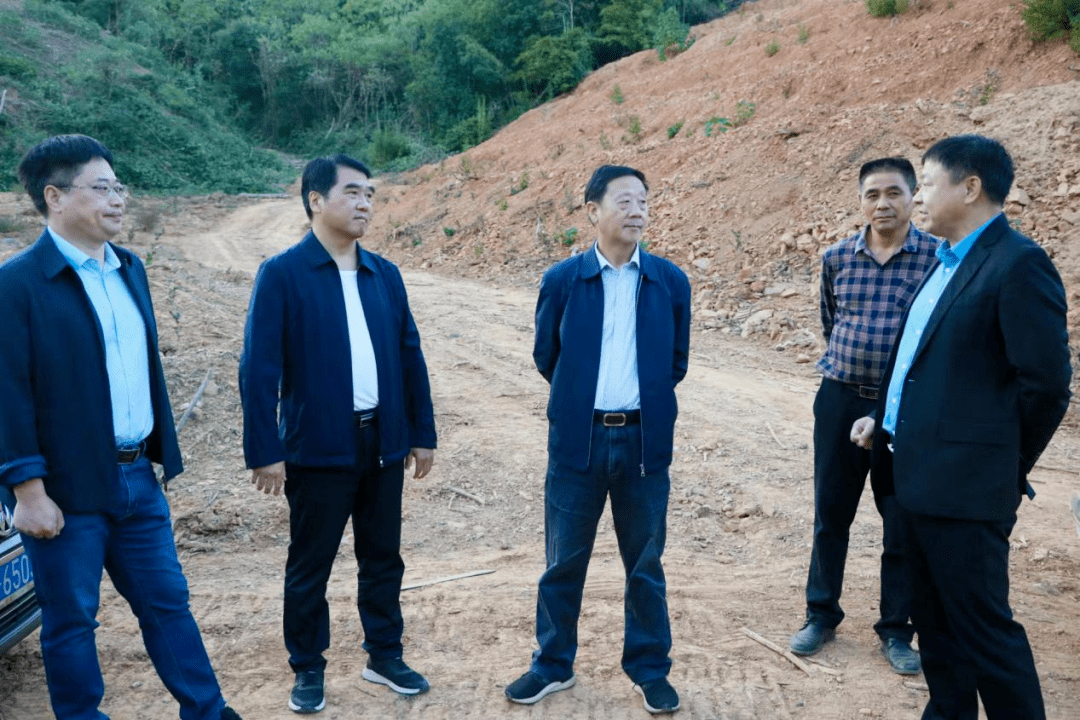 余接成调研油茶产业发展情况_种植_万年县_产量