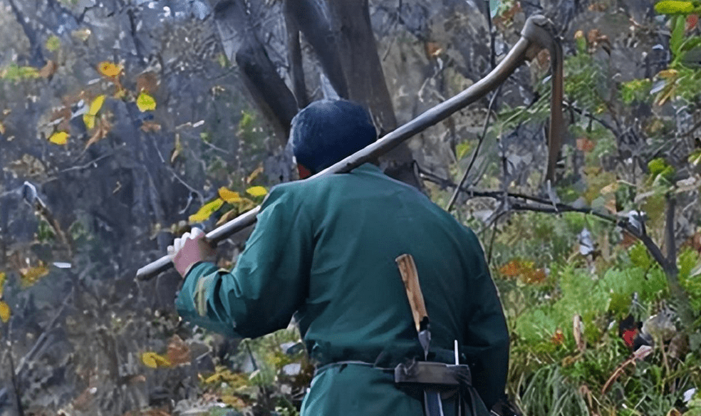 程地明此时也有些心虚,觉得是不是触犯了什么忌讳