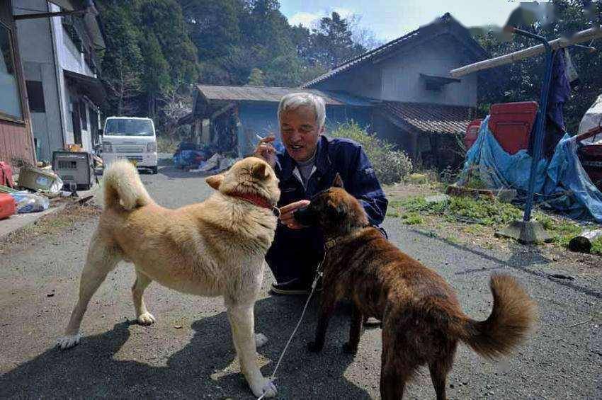 老人獨守核洩漏區,照顧變異動物6年,日本政府卻希望他趕快過世_因為