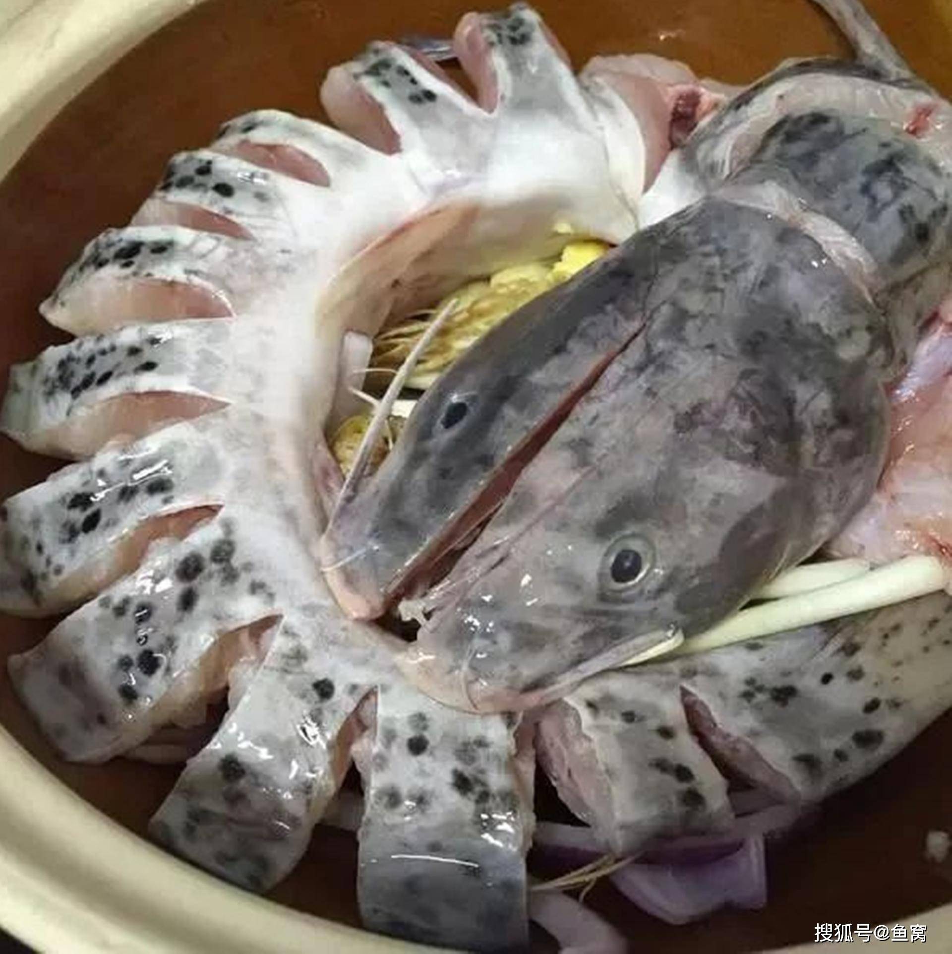 广西名鱼芝麻剑鱼曾是广西家常菜,如今150块一斤,还一鱼难求_因为_鱼