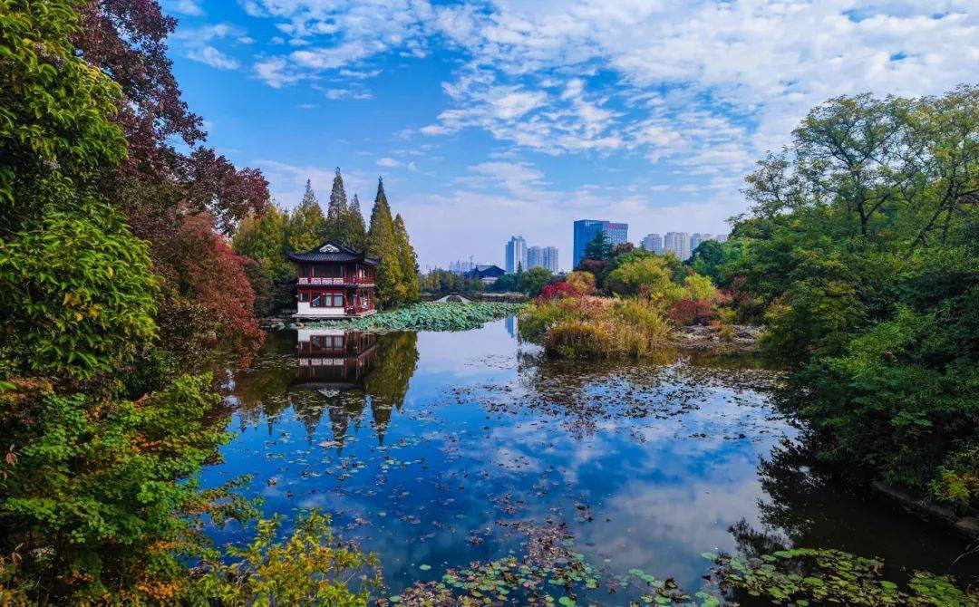 徐州!全城園博!滿城皆花園!_公園_城市_生態