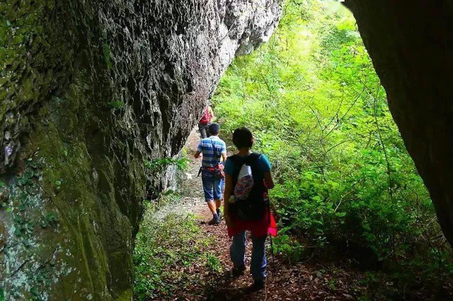 勇者之旅‖11.13穿越十里铁甲龙，探幽露台第一奇洞，怀古明岩寺（欢送团队定造）