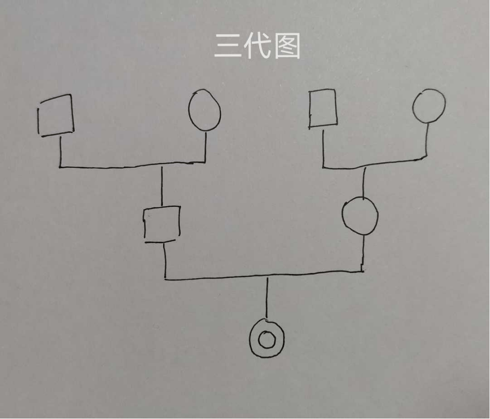 社工家谱图图片