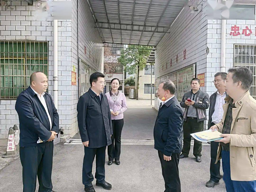 赖馨正赴太平圩乡督导乡村振兴工作并走访长坪乡石枧中学