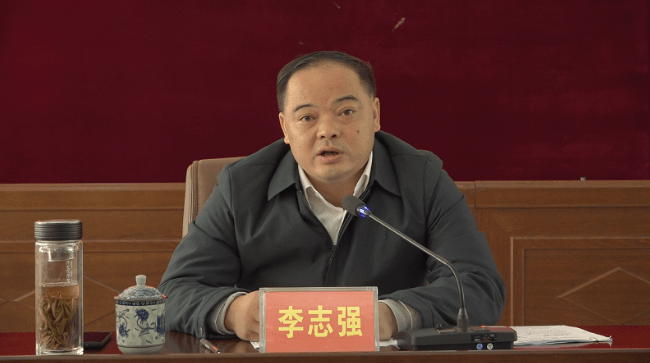 李志强:守正创新 为建设现代化新桂阳凝聚更大力量_工作_新闻