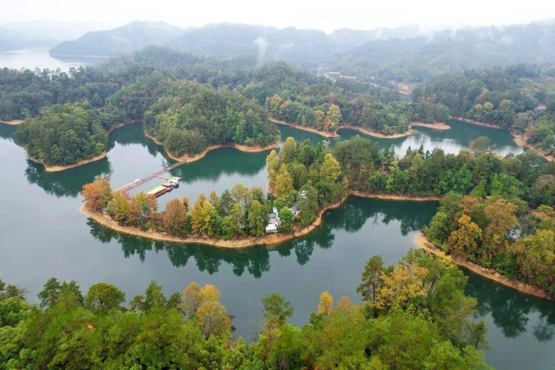 乘着班车去旅行!赣南树木园自然研学之旅出发吧_植物_科普_赣州