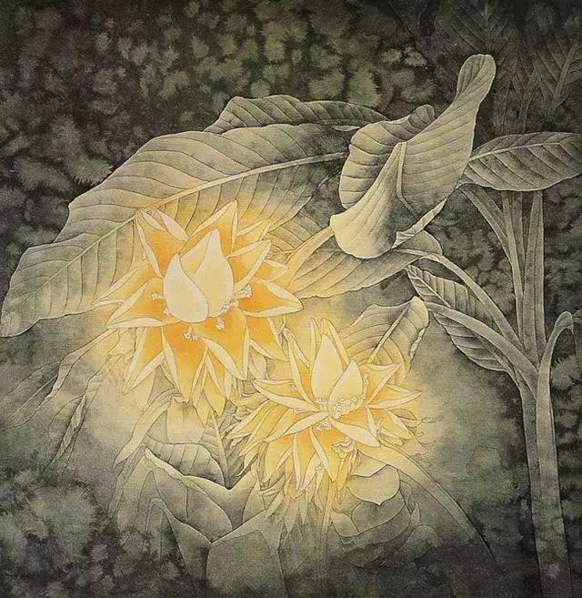 工笔花鸟图片:张德泉40幅花鸟作品画欣赏,太漂亮了_昙花_般若_波罗